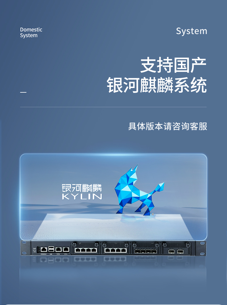 国产CPU工控机,1U多网口工控机,DT-12420-SD2000.jpg
