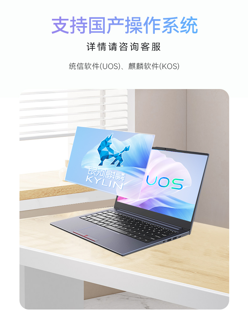 14英寸国产轻薄笔记本,龙芯CPU,DT-S14L4UD.jpg